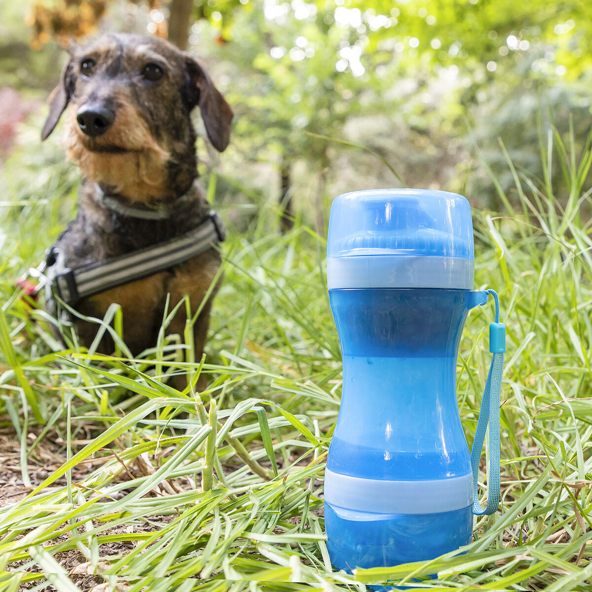 Botella 2 en 1 con recipientes para agua y comida para mascotas