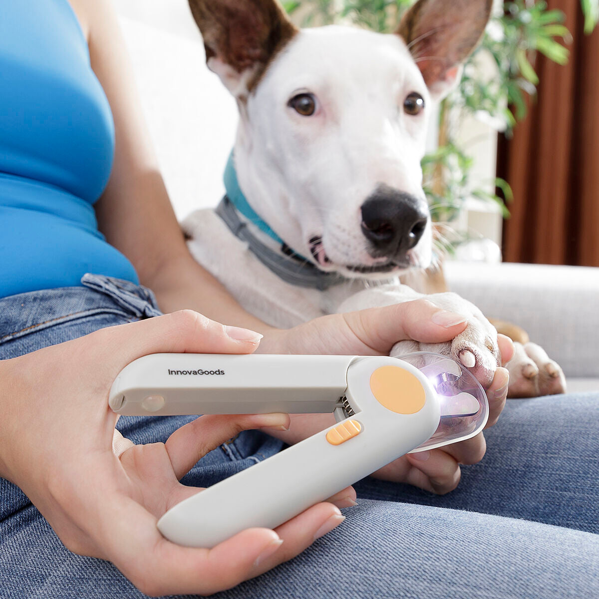 Cortauñas para Mascotas con Luz LED CaniClips