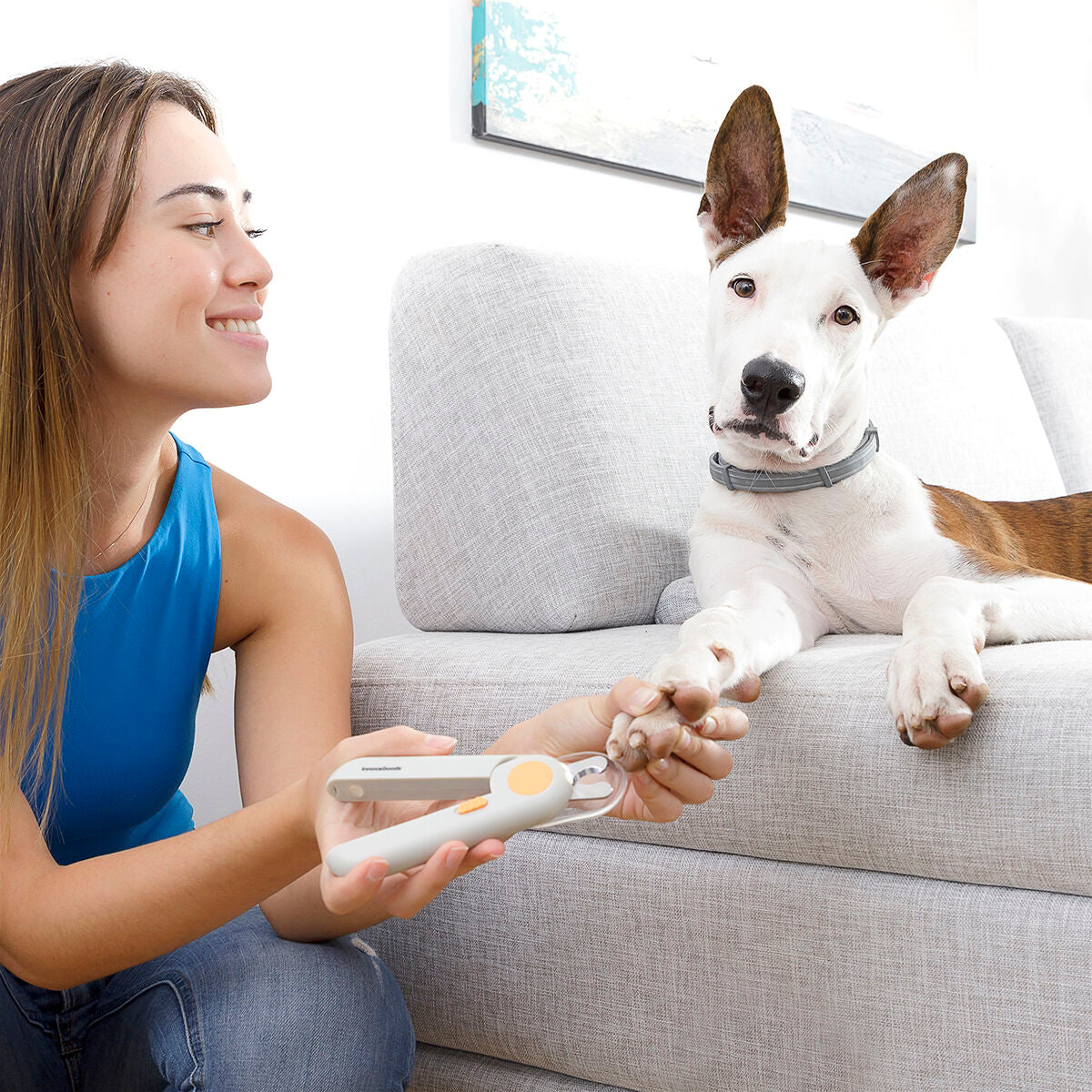 Cortauñas para Mascotas con Luz LED CaniClips