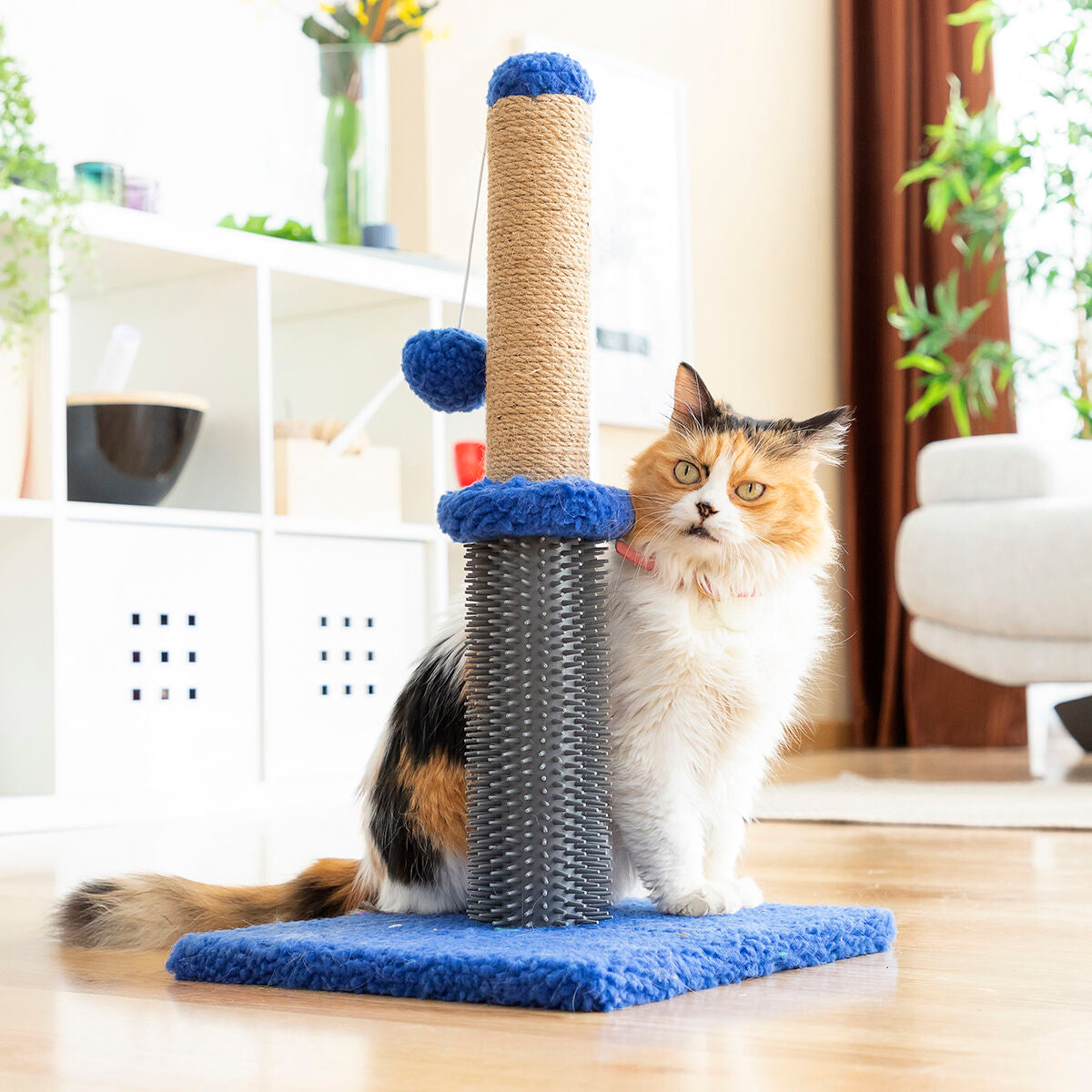 Poste rascador y masajeador para gatos con pelota Miausage InnovaGoods