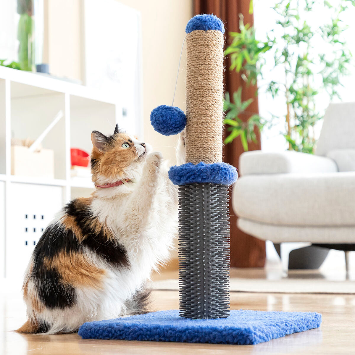 Poste rascador y masajeador para gatos con pelota Miausage InnovaGoods