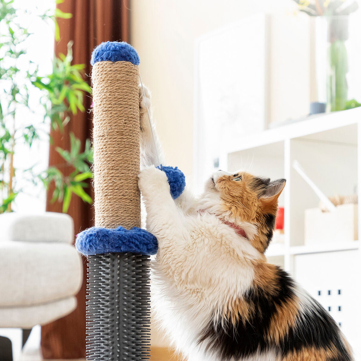Poste rascador y masajeador para gatos con pelota Miausage InnovaGoods