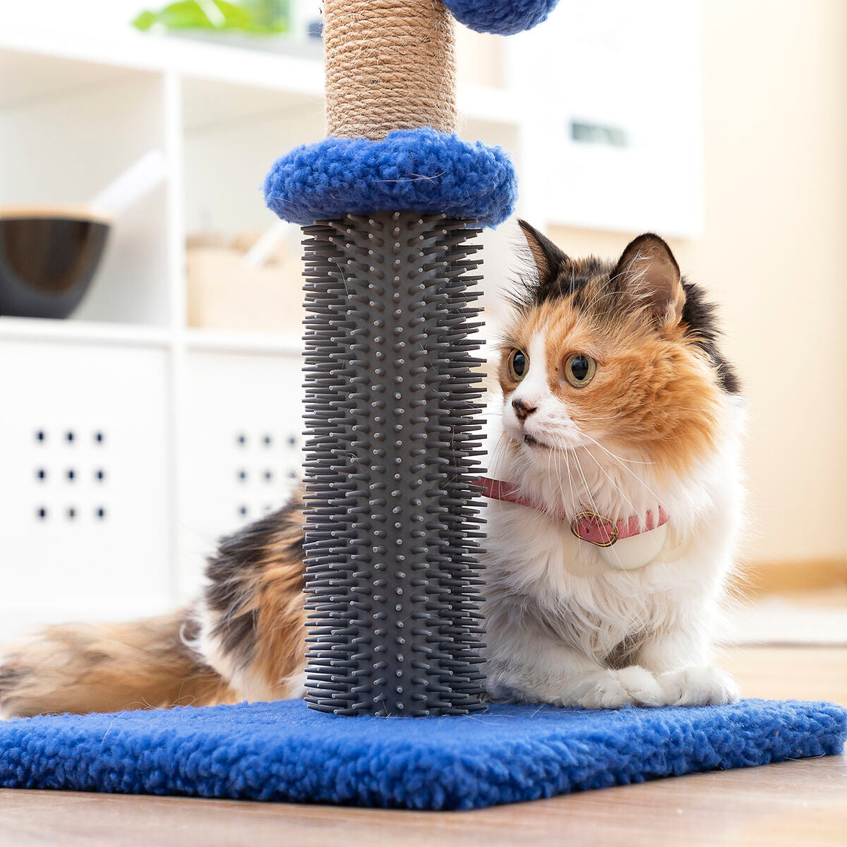 Poste rascador y masajeador para gatos con pelota Miausage InnovaGoods